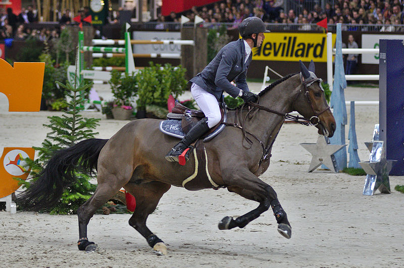 File:54eme CHI de Genève - 20141213 - Prix Credit Suisse - Kevin Staut et Cheyenne 111 Z HDC 2.jpg