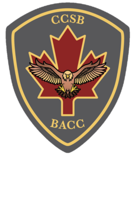 Image illustrative de l’article 6e Brigade d’appui au combat du Canada