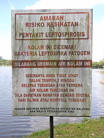 A notice board by a lakeside in Sarawak, Malaysia that warns against swimming in the lake as it has tested positive for pathogenic Leptospira.