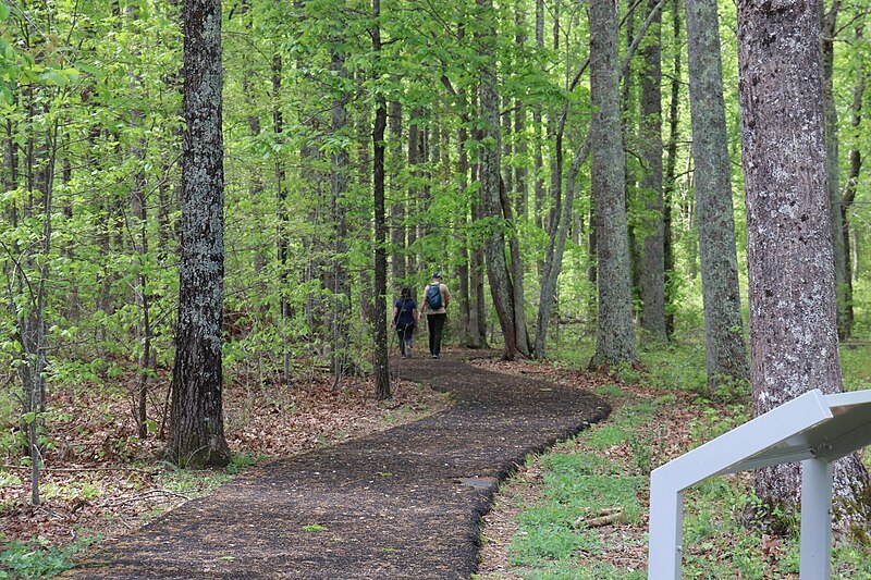 File:A couple walking down the trail at Cowpens. (9d54b365-61d6-4a2b-ad04-8fab2a83f16c).jpg