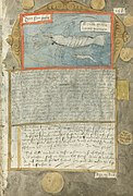 Adriaen Coenen's Visboeck - KB 78 E 54 - folio 167r.jpg