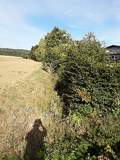 Am Oberlauf der Leisel nahe dem Grebenhof oberhalb Großenritte