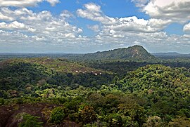 Amazonas-Dschungel von oben.jpg