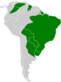 Amazonetta brasiliensis map.svg