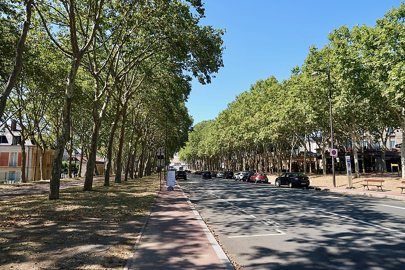 File:Avenue de Sceaux, Versailles 5.jpg