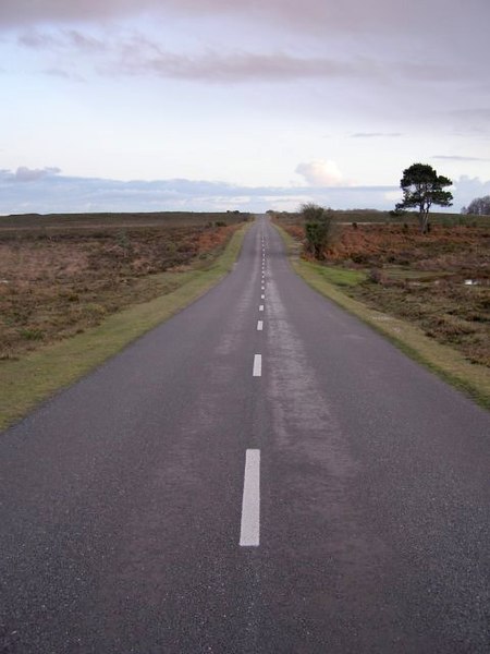 File:B3056 road at dusk, Stephill Bottom, New Forest - geograph.org.uk - 291840.jpg