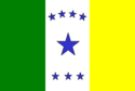 Bandeira de Flora Rica