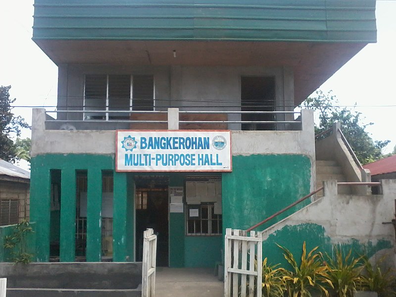 File:Bangkerohan Barangay Hall - panoramio.jpg