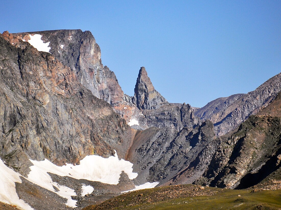 Bears Tooth