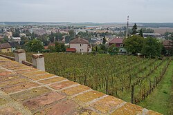 Benátky nad Jizerou a Mečeřížská tabule ze zámku