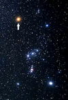 Betelgeuse position in Orion.png