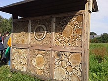 Bee hotel in Grimbergen, Belgium Bijenhotel Grimbergen Belgium.jpg