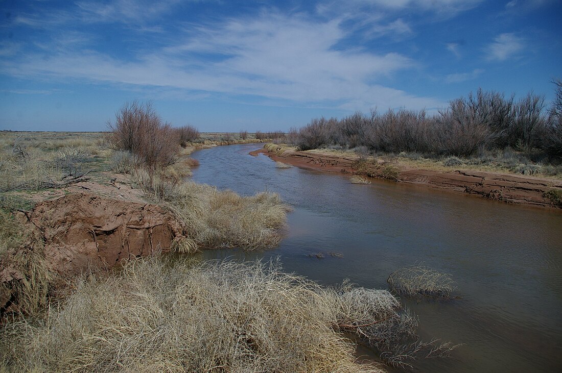 Pecos