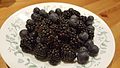 * Nomination Blueberries and blackberries. --Kong of Lasers 22:26, 8 September 2017 (UTC) * Decline For a "studio shot" like this, the sharpness and light really need to be better. The DoF is too shallow so that much of the image is unsharp. --Peulle 16:49, 9 September 2017 (UTC)