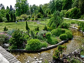 Botanical garden Košice.jpg