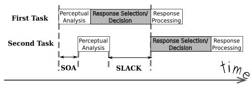 Figure 1. Model of the central bottleneck accounting for the psychological refractory period. Execution of one task requires three stages: Stage 1 entails the analysis of the perceptual characteristics of the stimulus, Stage 2 entails a decision about what the task-set requires, Stage 3 is the execution of the actual response. Shaded stages cannot overlap, but if they do, for example when the time intervening between the two tasks (SOA) is short, the one that has priority (i.e., the first task) will delay (SLACK) the execution of the second. This phenomenon is known as the psychological refractory period. BottleneckInterefencePRP.svg