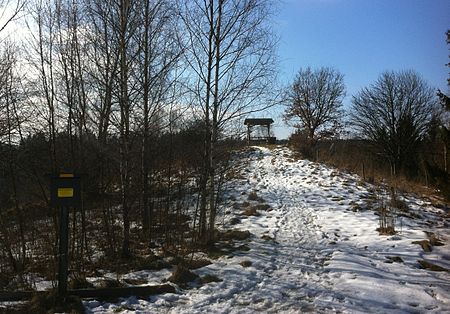 Brockenblick bei Silberhütte