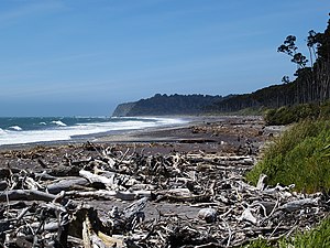 Bruce Bay with Makawhio Point in the background