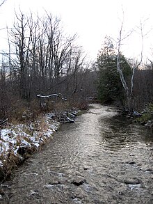 Butternut Creek, Onondaga County Butternut-Creek-Jamesville-NY-2014.jpg