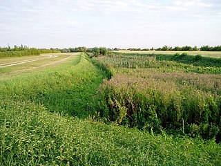 Car Dyke Ditch which runs along the western edge of the Fens in eastern England