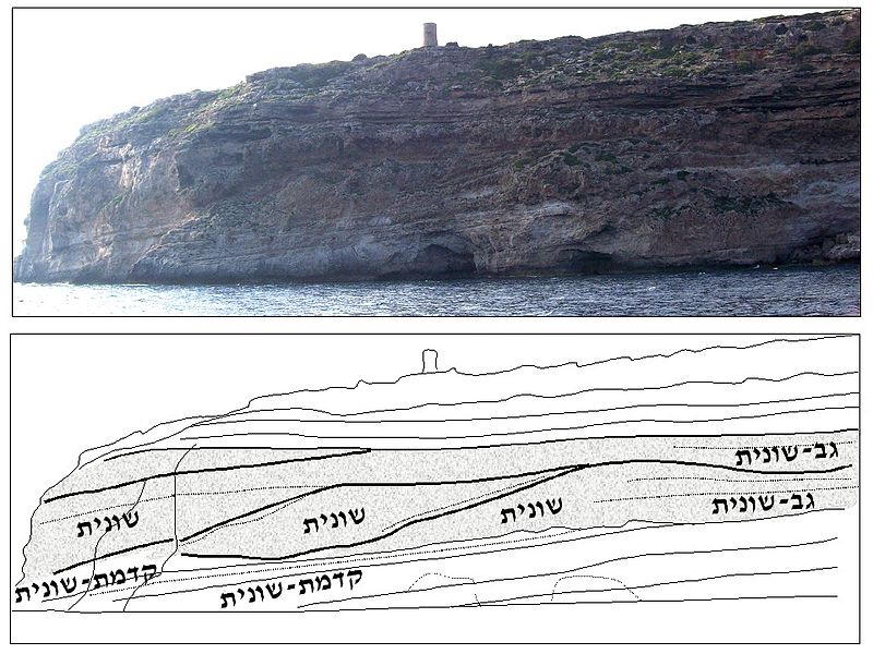 File:Carbonate platform Tortonian Mallorca He.jpg