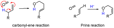 Schema 6. Carbonyl-een-reactie versus Prins-reactie