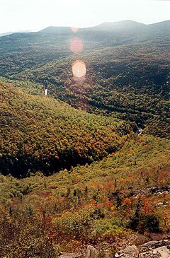 Caribou Valley yolu ve Mt Redington.jpg