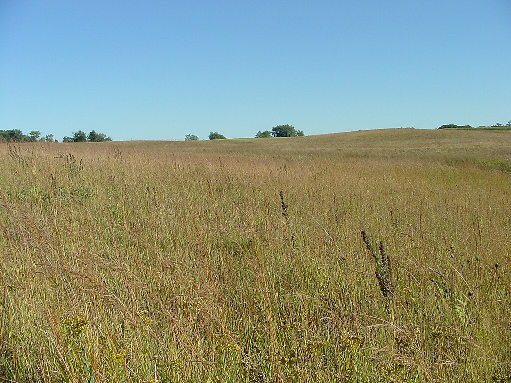A rolling green and brown prairie, with a few trees in the background and a blue sky.