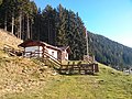 "La Casara", il bivacco posto a 1647 metri di quota, sulla strada forestale che da Miola, porta verso la cima di Costalta.