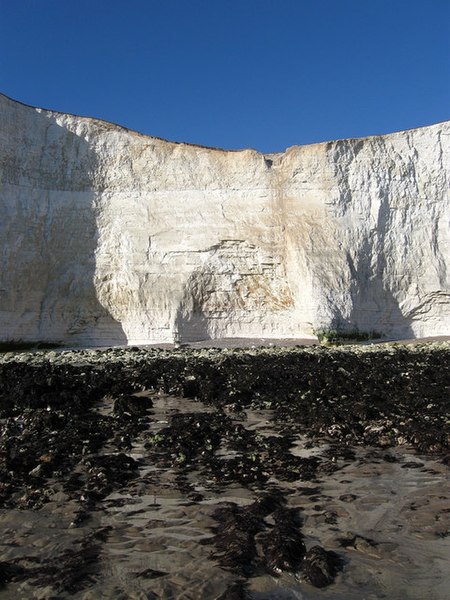 File:Cave Beneath Rough Bottom - geograph.org.uk - 1273002.jpg