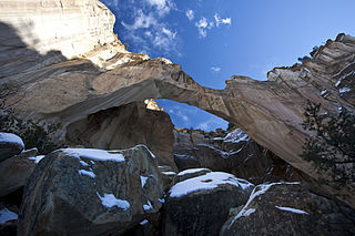 <span class="mw-page-title-main">Cebolla Wilderness</span> Wilderness area in New Mexico, United States