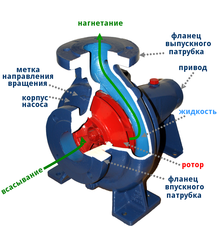 Вы точно человек?