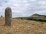Uno dei menhir del sito della Cham des Bondons (Lozère)
