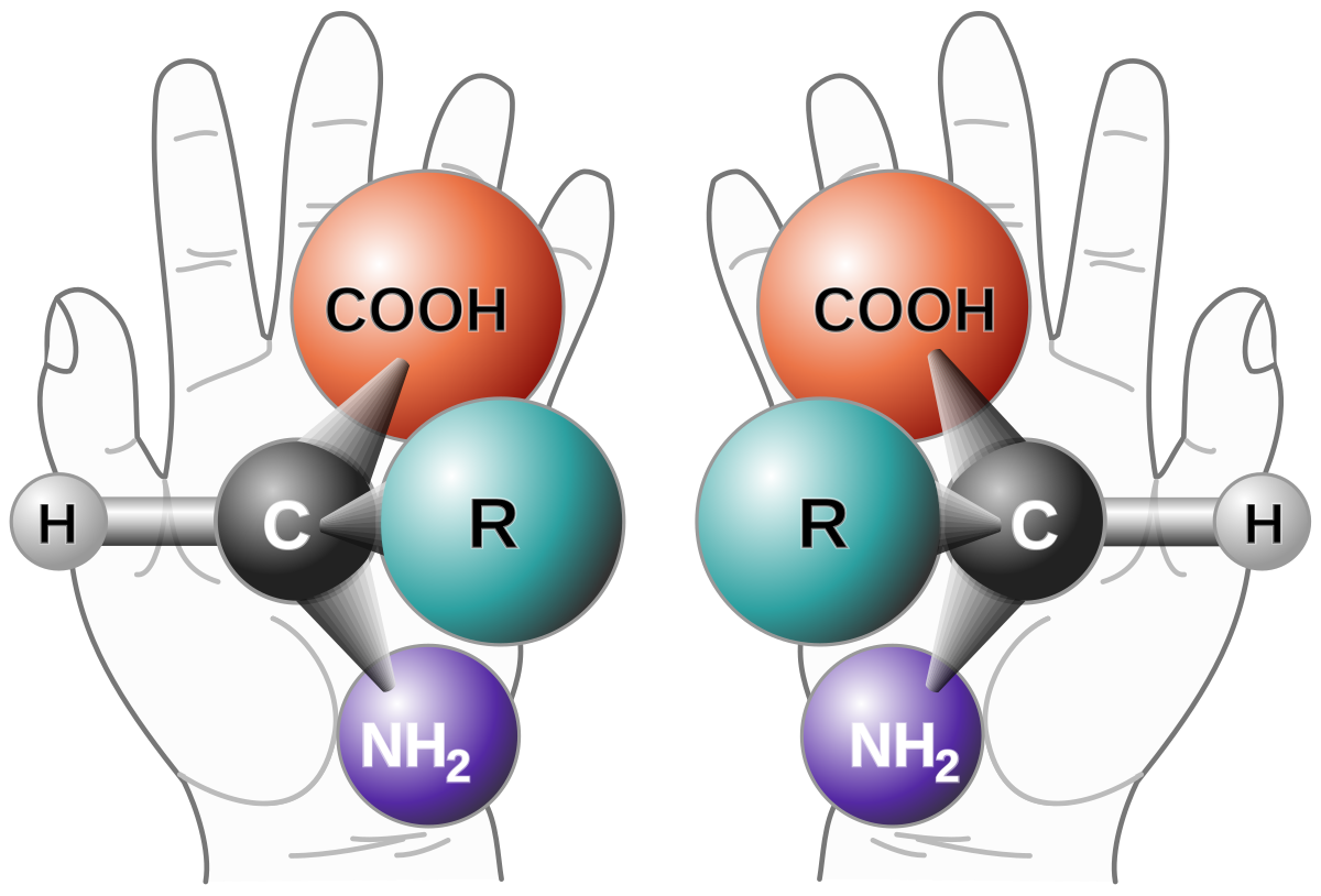 Chirality (chemistry) - Wikipedia