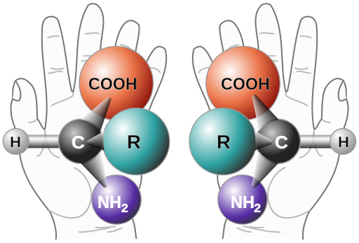  Chirality with hands 