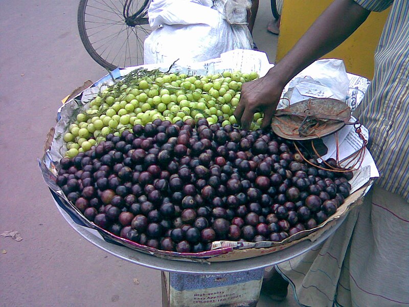 File:Coffee plum vendor.jpg