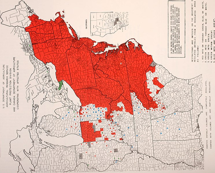 File:Cooperative economic insect report (1971) (20702192121).jpg