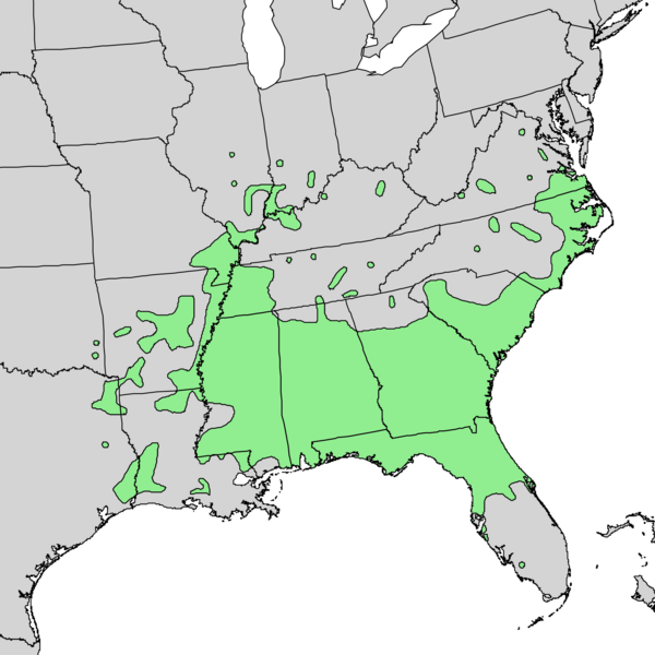 File:Cornus foemina range map 1.png