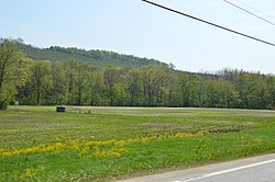 Creek floodplain in Valley Township Cowanshannock Creek floodplain, Valley Township.jpg