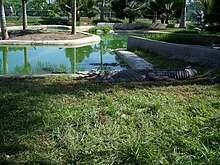 Davao Crocodile Park