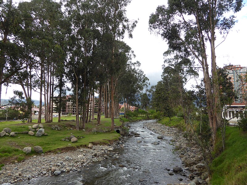 File:Cuenca Ecuador280.JPG