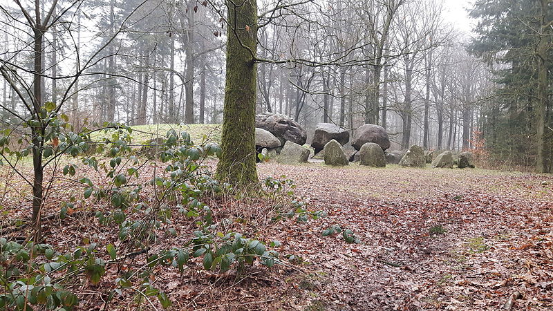 File:D49 is gedeeltelijk overdekt door een dekheuvel.jpg