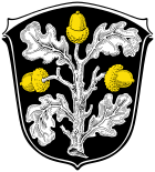 Coat of arms of the city of Kelsterbach