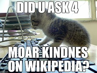 A lolcat, or LOLcat, is an image macro of one or more cats. The image's text is often idiosyncratic and (intentionally) grammatically incorrect, and is known as lolspeak.