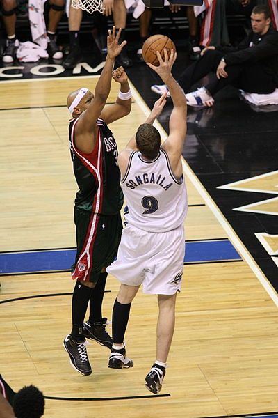 File:Darius Songaila NBA 13.jpg