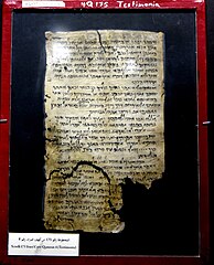 Dead Sea Scroll 175, complete, Testimonia, from Qumran Cave 4, the Jordan Museum in Amman