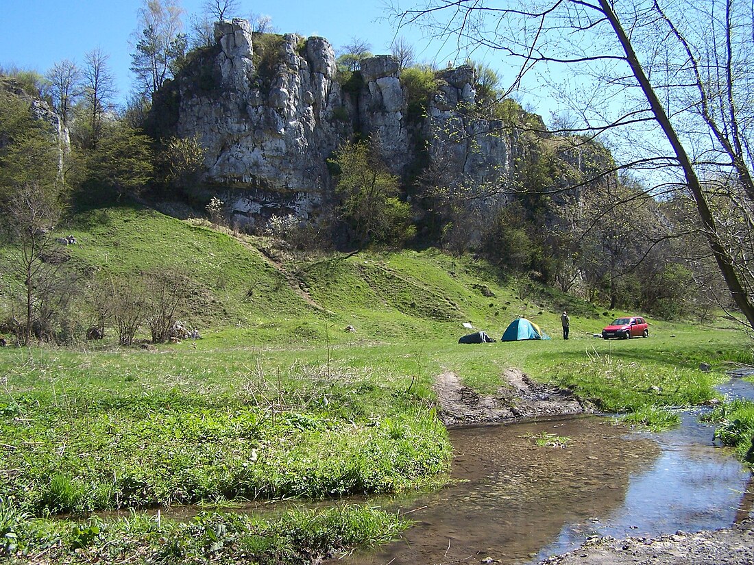 Wielka Wieś udalerria