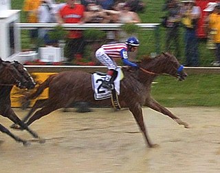 <span class="mw-page-title-main">Dortmund (horse)</span> American-bred Thoroughbred racehorse