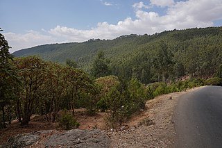 Entoto Mountains Mountainous region in Addis Ababa, Ethiopia