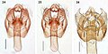 Hình xem trước của phiên bản lúc 18:50, ngày 20 tháng 4 năm 2010